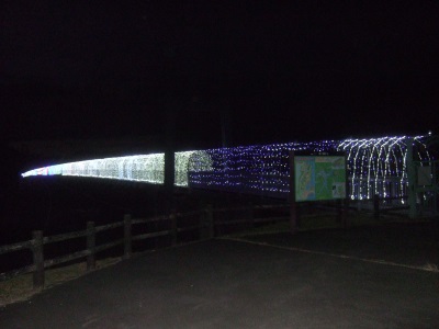 宮沢湖橋のイルミネーション