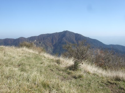 塔ノ岳より大山