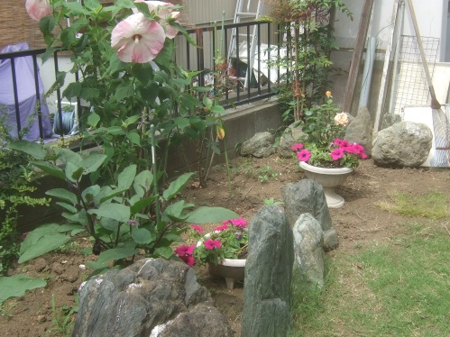 私の練習グリーン